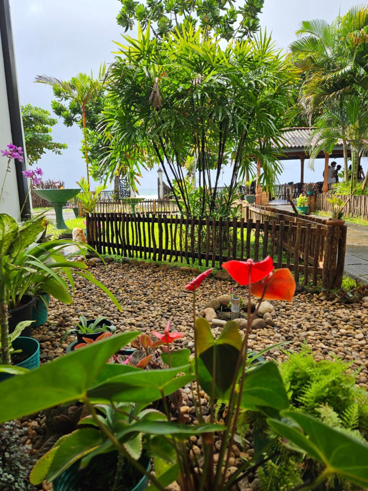 Balance Beach Resort Діквелла Екстер'єр фото