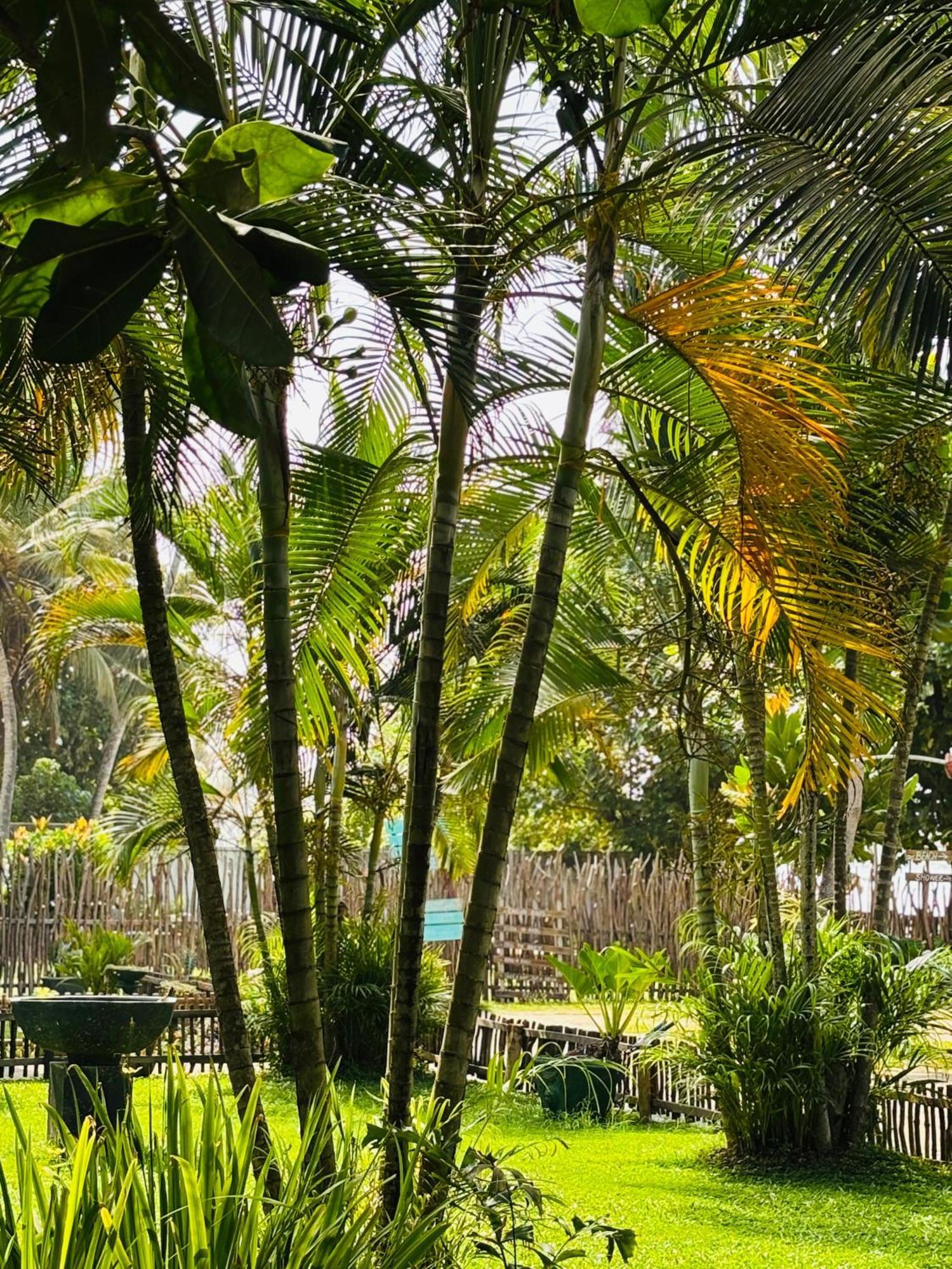 Balance Beach Resort Діквелла Екстер'єр фото